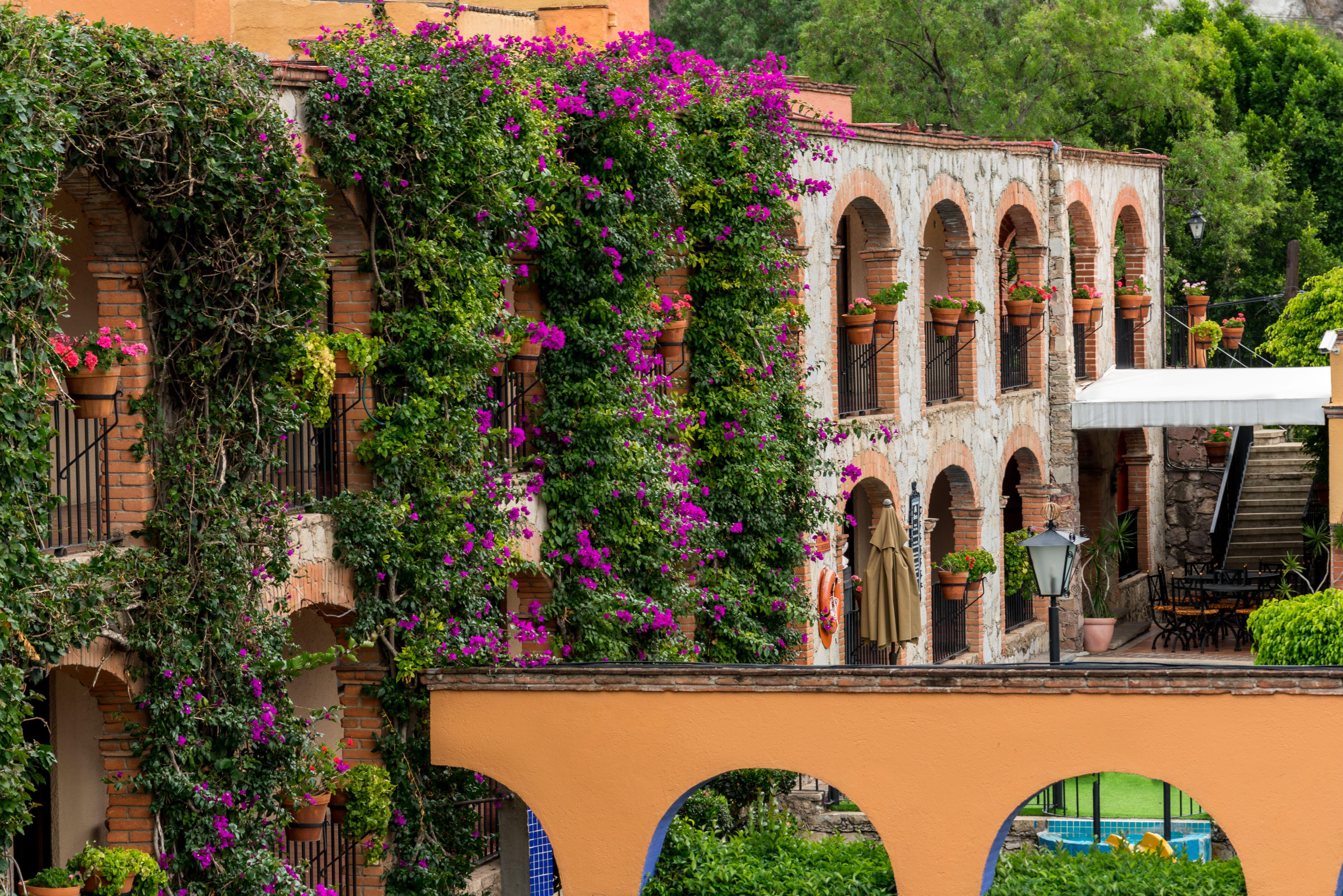 Hotel Abadia Plaza Guanajuato Exteriér fotografie